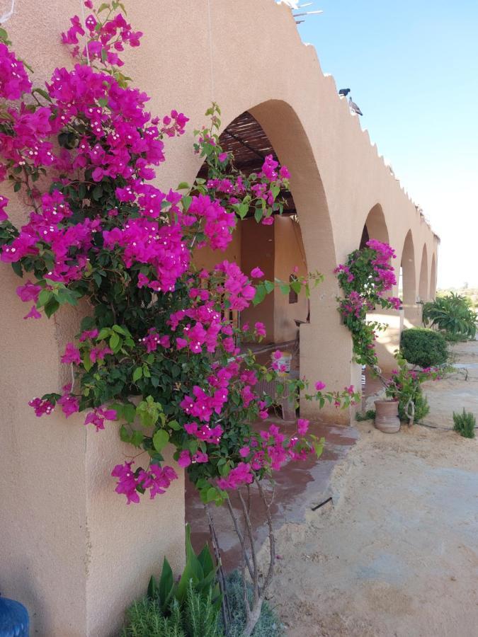 Hayaat Siwa Hot Spring Otel Siwa Oasis Dış mekan fotoğraf