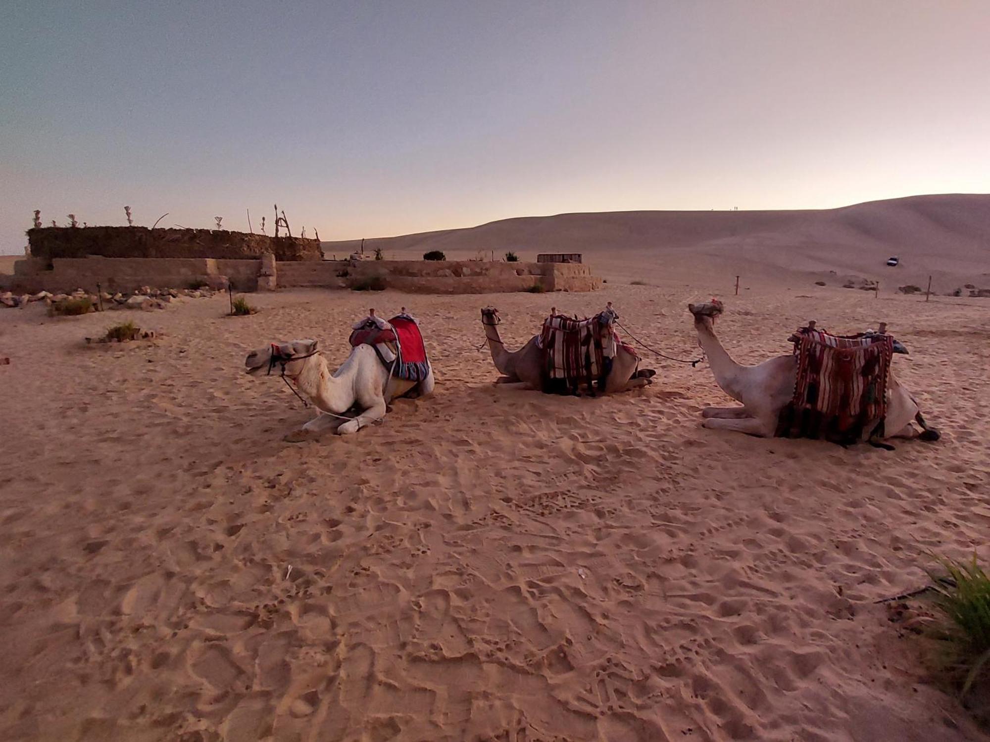 Hayaat Siwa Hot Spring Otel Siwa Oasis Dış mekan fotoğraf