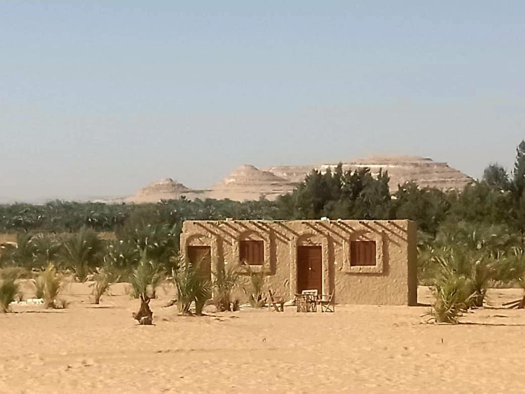 Hayaat Siwa Hot Spring Otel Siwa Oasis Oda fotoğraf
